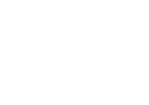 Apexx Global logo