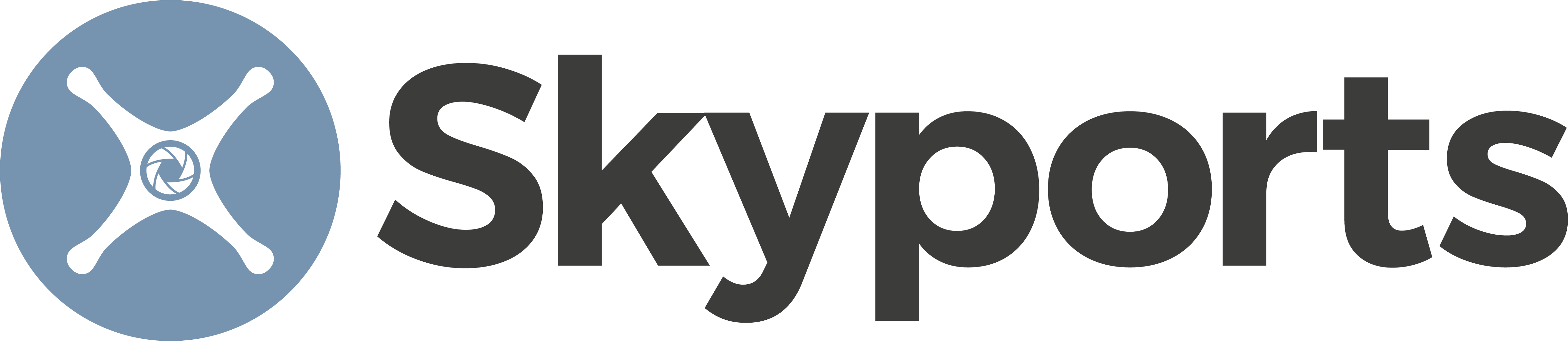 SkyPorts logo